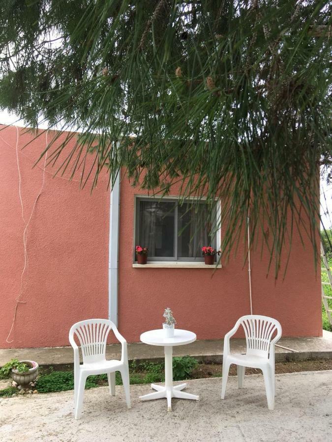 Detached Cozy Studio Paralimni Exteriör bild