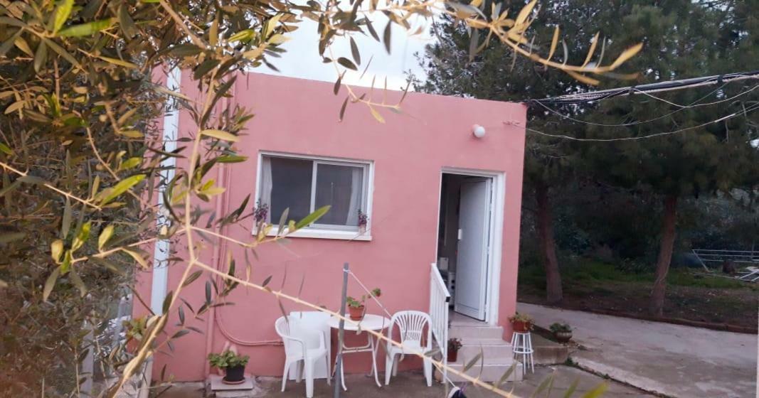 Detached Cozy Studio Paralimni Exteriör bild